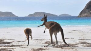 Blog aupair Australie sites