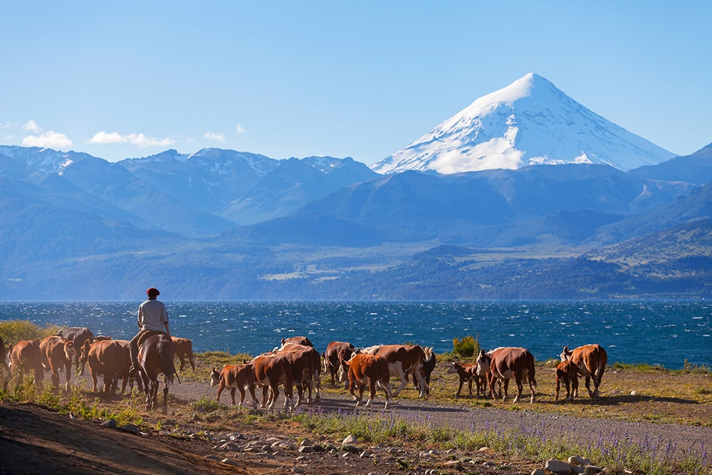 Voyage en Argentine : quels sont les incontournables ?