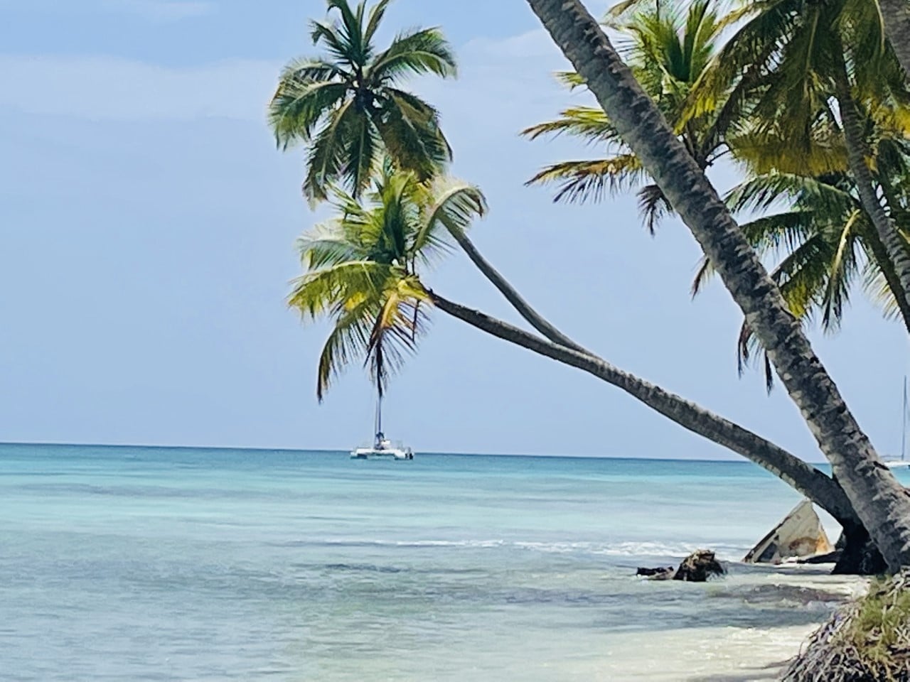 République Dominicaine : pourquoi y aller en vacances ?