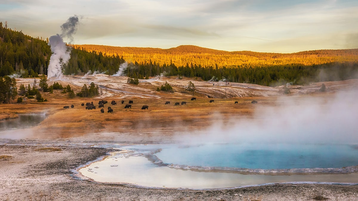 Quels sont les plus beaux parcs nationaux au monde ?