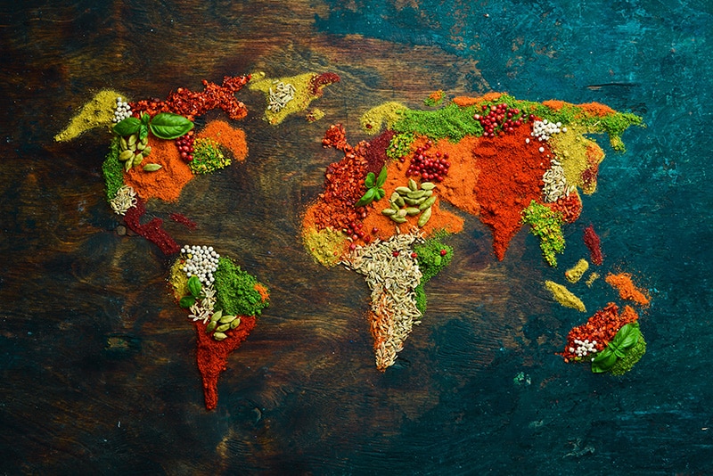 Quels sont les plats les plus insolites au monde ?