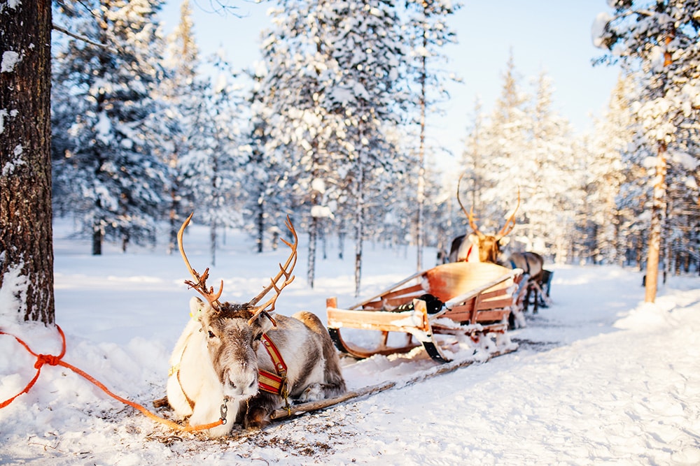 5 destinations pour vivre la magie de Noël