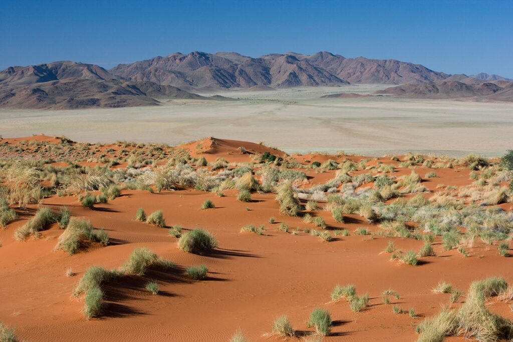 Decouvrez la Namibie